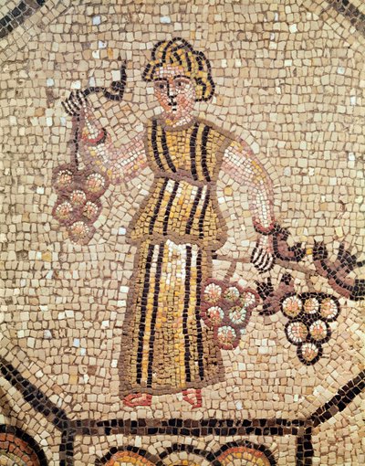 El vendedor de uvas de Roman